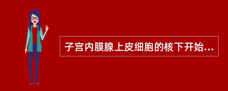 子宫内膜腺上皮细胞的核下开始出现含糖原小泡表明子宫内膜处于