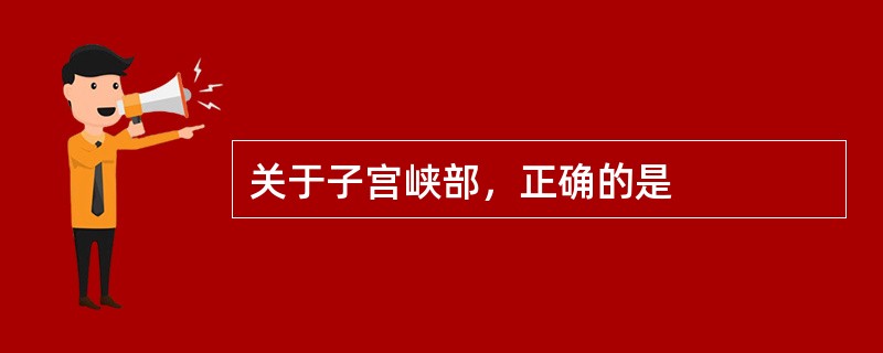 关于子宫峡部，正确的是