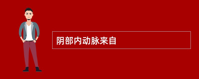 阴部内动脉来自