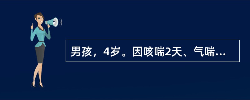 男孩，4岁。因咳喘2天、气喘加剧半天就诊。体检：体温正常，吸气性呼吸困难，口唇微绀，听诊两肺广泛哮鸣音，心率140次/分，既往有哮喘发作史5次，有过敏史，其母亦有哮喘史。应立即做哪项检查