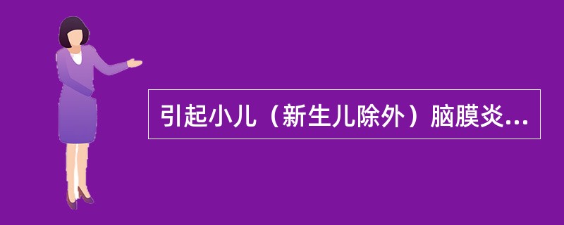 引起小儿（新生儿除外）脑膜炎常见的病原菌是()