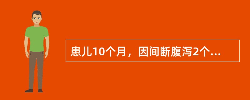 患儿10个月，因间断腹泻2个月，面色苍白1个月就诊，大便2～3次／天，呈糊状，母乳喂养，4个月添加辅食。患儿3个月时因患坏死性小肠结肠炎，而行小肠大部切除，术后一般情况渐好转。查体：皮肤黏膜苍白，舌细