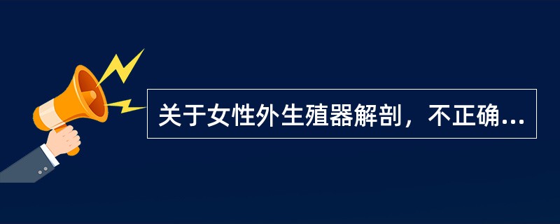 关于女性外生殖器解剖，不正确的是