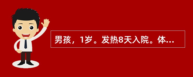 男孩，1岁。发热8天入院。体检：体温39℃眼结膜充血，口唇鲜红、干裂，皮肤有浅红色斑丘疹，右颈淋巴结蚕豆大，两肺呼吸音粗，心率130次／分，肝、脾无肿大，掌跖红斑，手足硬肿。血白细胞数19×109／L