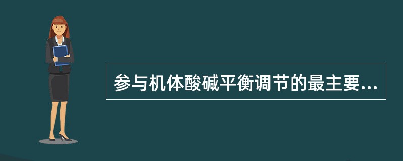 参与机体酸碱平衡调节的最主要组织器官是