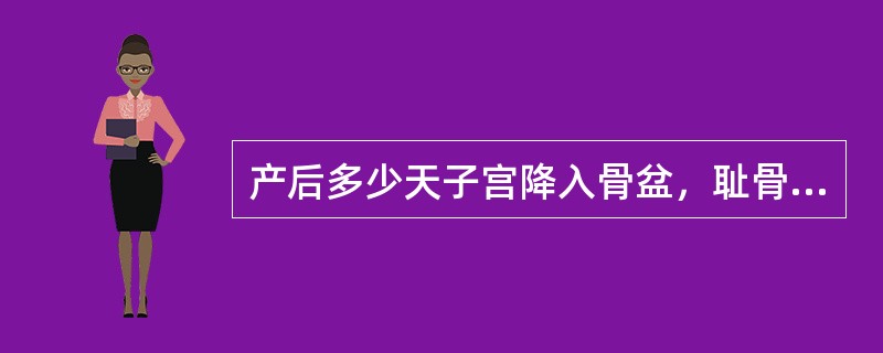 产后多少天子宫降入骨盆，耻骨联合上方扪不到子宫底