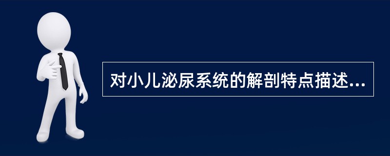 对小儿泌尿系统的解剖特点描述正确的是