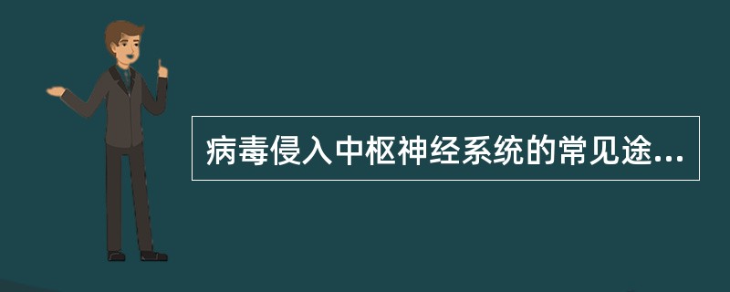 病毒侵入中枢神经系统的常见途径应除外()
