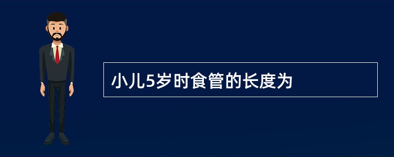 小儿5岁时食管的长度为