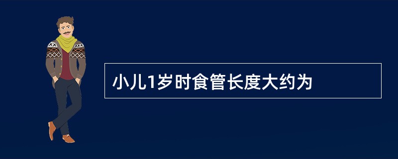 小儿1岁时食管长度大约为