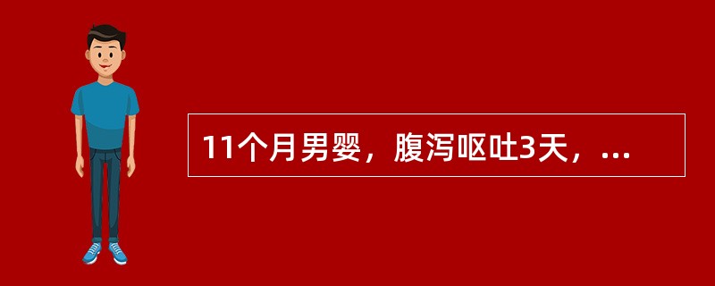 11个月男婴，腹泻呕吐3天，精神萎靡，前囟及眼窝明显凹陷，口唇黏膜极干燥，皮肤弹性极差，四肢末梢发花，4小时无尿，第一天补液总量为()