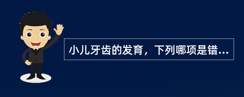 小儿牙齿的发育，下列哪项是错误的