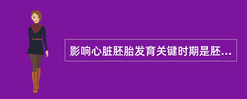 影响心脏胚胎发育关键时期是胚胎的()