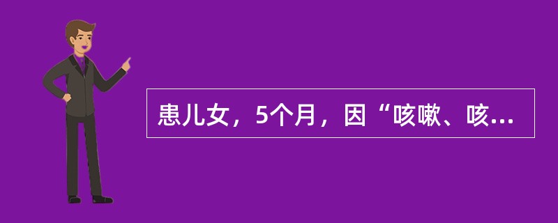 患儿女，5个月，因“咳嗽、咳痰2d，加重1d”来诊。查体：T39℃，R50次/min；体重6kg；面色灰白，精神萎糜；双肺有细湿性啰音，HR150次/min。对该患儿的输液速度应控制在