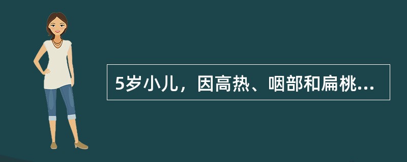 5岁小儿，因高热、咽部和扁桃体充血肿胀，表面有点状黄白色渗出物来院就诊，以猩红热收入院。目前该患儿体温达39℃，全身出疹。皮疹首发于耳后，之后遍及全身。为在弥漫性充血的皮肤上出现分布均匀的针尖大小的丘