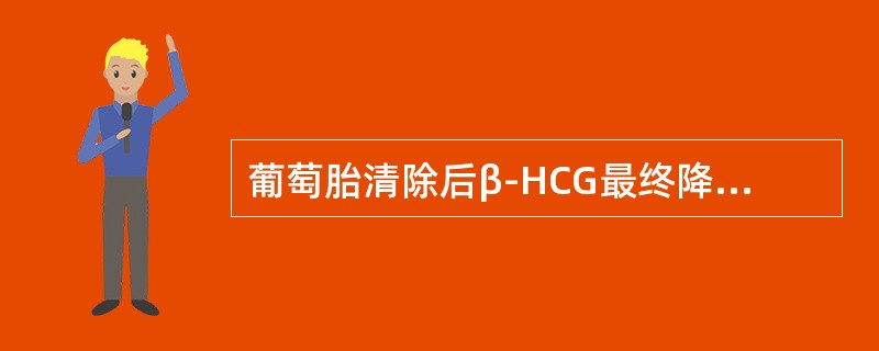 葡萄胎清除后β-HCG最终降至正常值时间以下哪个正确