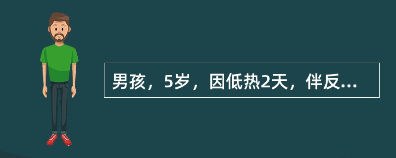 男孩，5岁，因低热2天，伴反复惊厥发作3次入院。病前健康，无既往惊厥史。入院体检合作，神志清楚，无异常神经征。CSF压力250mmH<img border="0" style