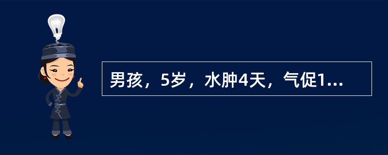 男孩，5岁，水肿4天，气促1天，伴尿少，尿色深。尿常规检查：RBC++/高倍视野。查体：R32次/分，心音增强，两肺底部有少许湿性啰音，肝肋下2cm，BP150/90mmHg(21/12kPa)。首先