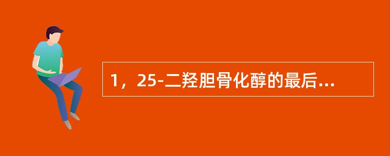 1，25-二羟胆骨化醇的最后羟化部位是在()