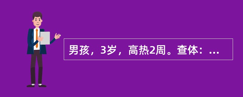 男孩，3岁，高热2周。查体：咽充血，颈部淋巴结肿大明显，最大达2cm×2.5cm，肝肋下3cm，脾肋下2cm，皮肤可见少量充血性丘疹。血常规Hb78g／L，WBC19×10<img border