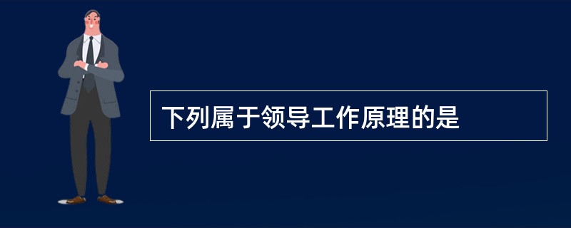 下列属于领导工作原理的是