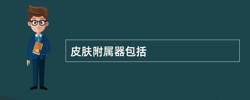 皮肤附属器包括