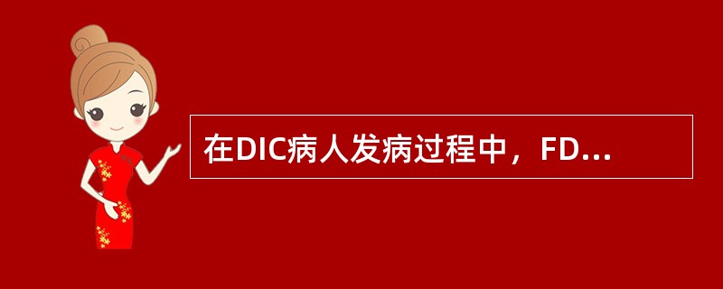 在DIC病人发病过程中，FDP的作用是