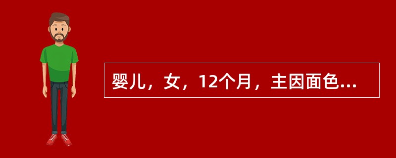 婴儿，女，12个月，主因面色苍白1个月住院。1个月来，家长发现患儿面色苍白越来越重，食欲减退，且大便次数多。患儿系早产儿，生后以人工喂养未加辅食。体检：发育营养尚可，皮肤粘膜苍白，心前区Ⅱ级收缩期杂音