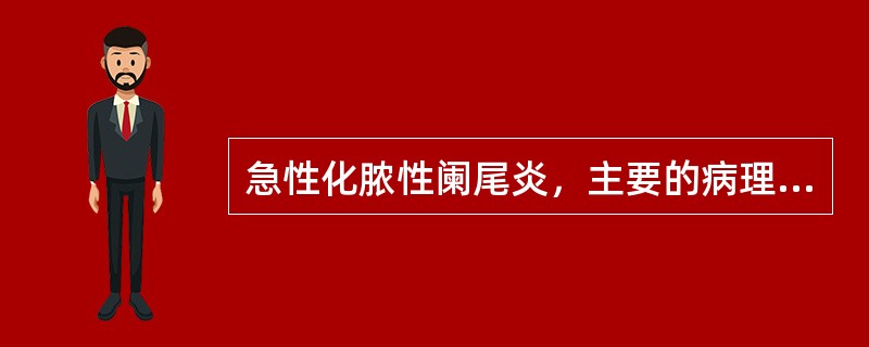 急性化脓性阑尾炎，主要的病理改变是指