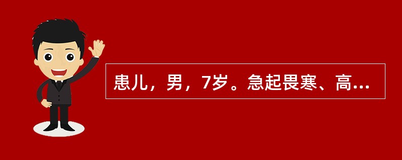 患儿，男，7岁。急起畏寒、高热、头痛、呕吐6小时。身体评估：体温40℃，神志淡漠，全身皮肤黏膜有散在瘀点、瘀斑，颈软，脑膜刺激征（-）。血常规：白细胞15×109/L，中性粒细胞95%，淋巴细胞5%，
