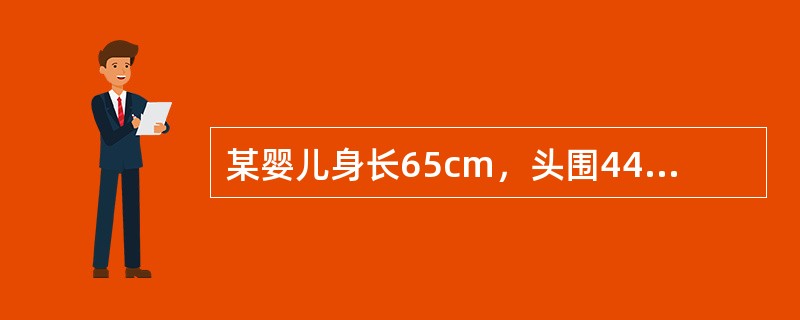 某婴儿身长65cm，头围44cm，独坐，用手摇玩具，能辨认熟人和陌生人，可能年龄是