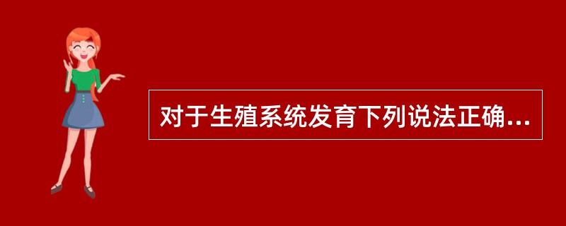 对于生殖系统发育下列说法正确的是