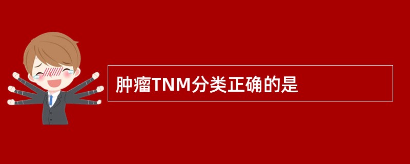 肿瘤TNM分类正确的是