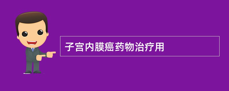 子宫内膜癌药物治疗用