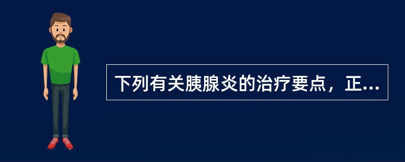 下列有关胰腺炎的治疗要点，正确的是