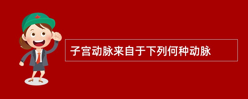 子宫动脉来自于下列何种动脉