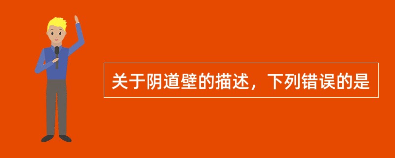 关于阴道壁的描述，下列错误的是