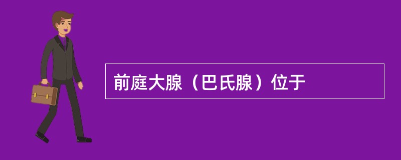 前庭大腺（巴氏腺）位于