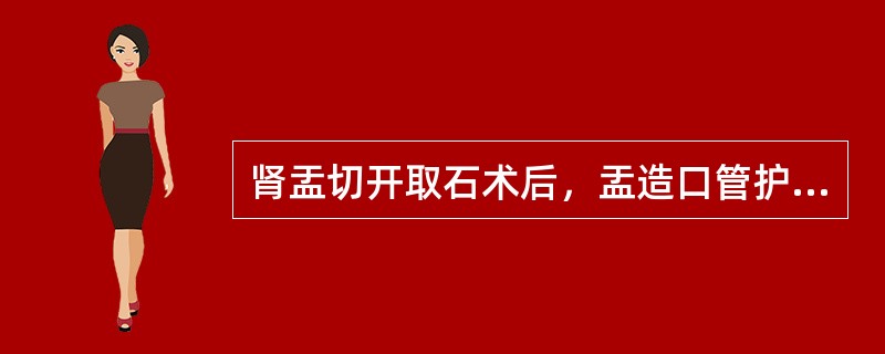 肾盂切开取石术后，盂造口管护理下列哪项正确