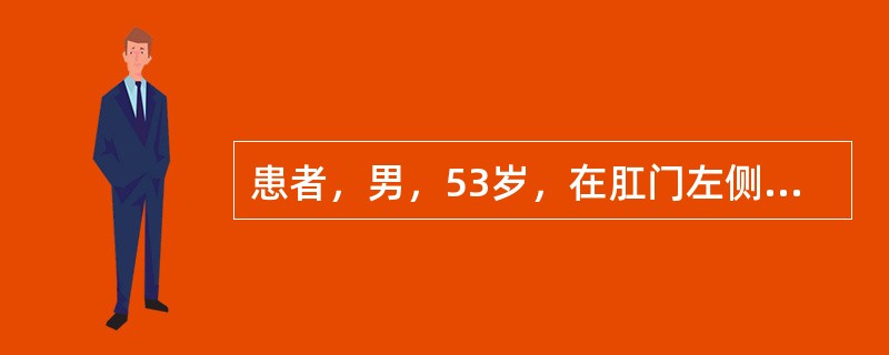 患者，男，53岁，在肛门左侧皮肤破溃、流脓，时好时发，已3年。体检：肛门左侧3cm处有一乳头状突起，有少许脓液溢出，直肠指检，内外两指相合，可触及一索条状物，考虑可能是