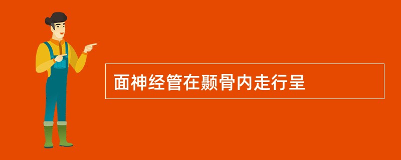 面神经管在颞骨内走行呈