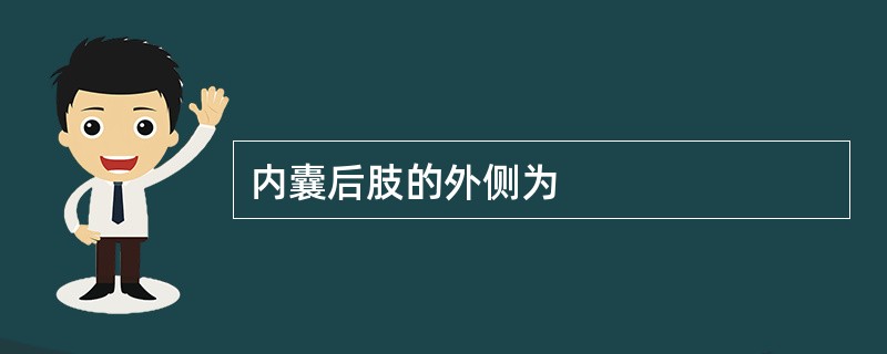 内囊后肢的外侧为