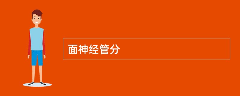 面神经管分