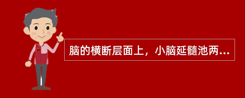 脑的横断层面上，小脑延髓池两侧的脑组织为