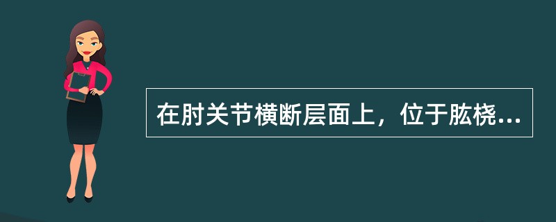 在肘关节横断层面上，位于肱桡肌与肱肌之间的神经为