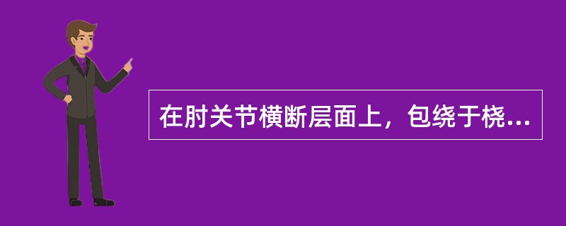 在肘关节横断层面上，包绕于桡骨头周围的C形韧带为