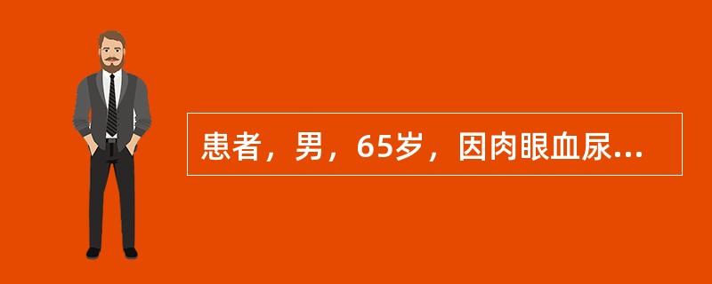 患者，男，65岁，因肉眼血尿2周就诊。无明确原因肉眼全程血尿，无腰痛、下肢水肿，实验室检查：血常规正常，尿常规镜检满视野红细胞，X线平片无异常征象。本病应该与哪些疾病鉴别诊断