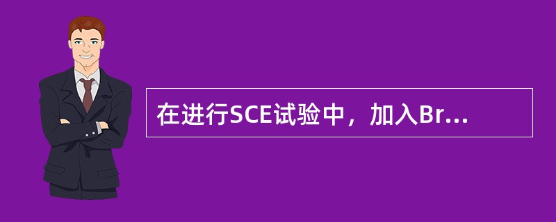 在进行SCE试验中，加入BrdU的作用是