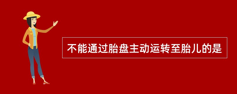 不能通过胎盘主动运转至胎儿的是