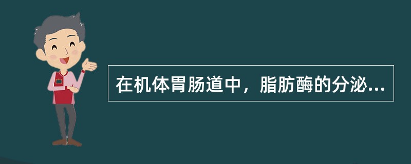 在机体胃肠道中，脂肪酶的分泌主要来自